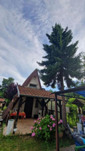 Apartmani Garic